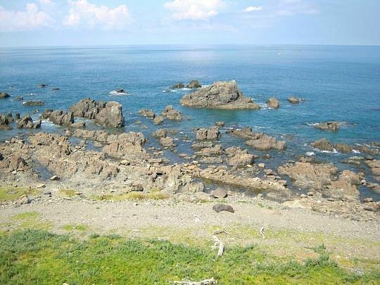 ⛩️ 아카가미 신사 고샤도(아카가미진자 고샤도) 이미지 5